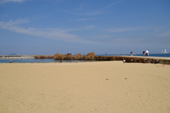夏の海。