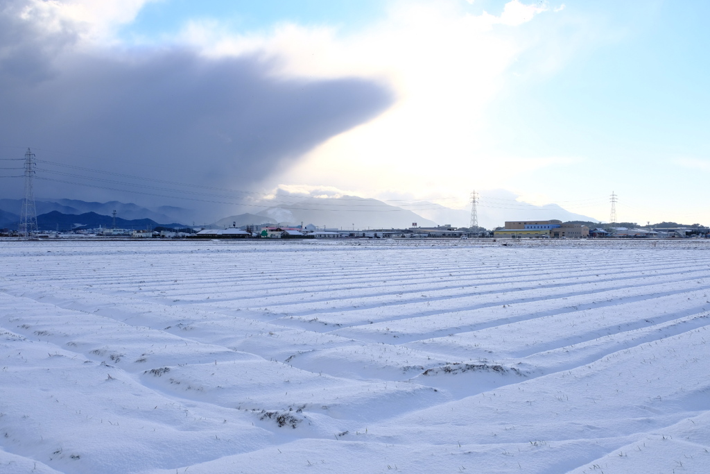 雪景色。