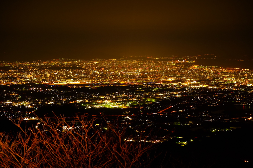 夜景①