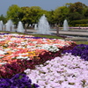 花畑と噴水。