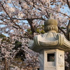 桜と神社。