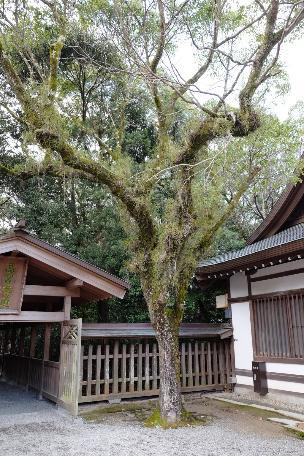 き②。