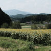 いなか。