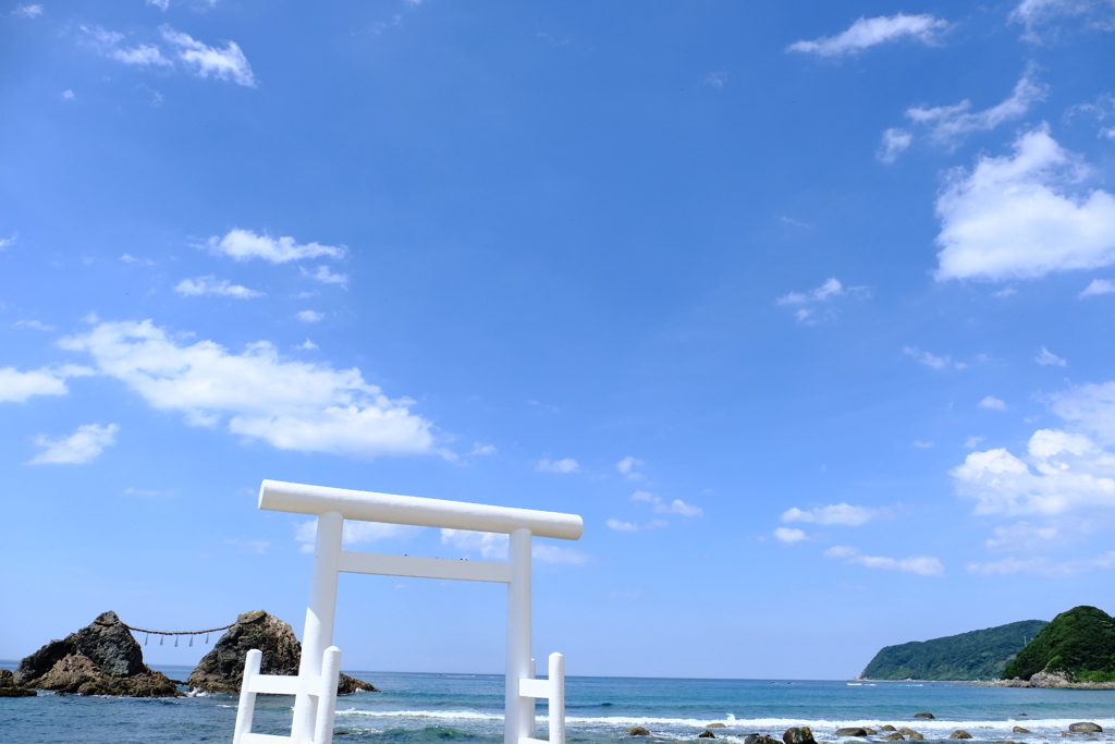 うみととりい。