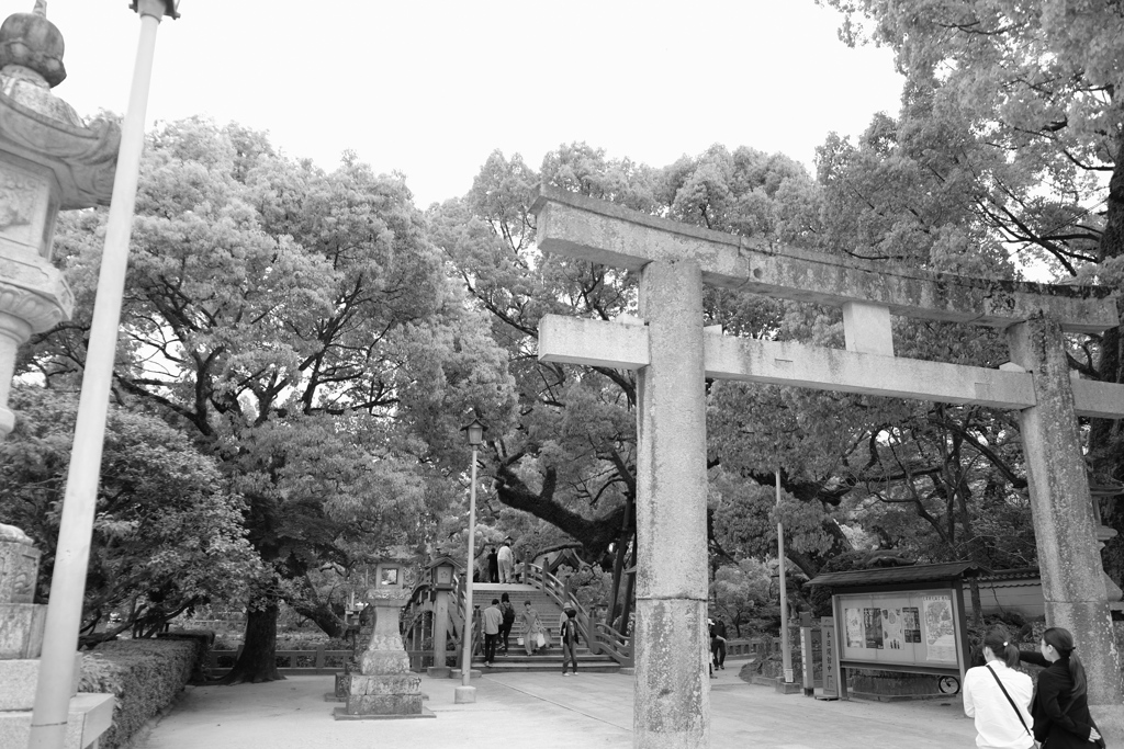 神社②。