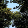 頂上。