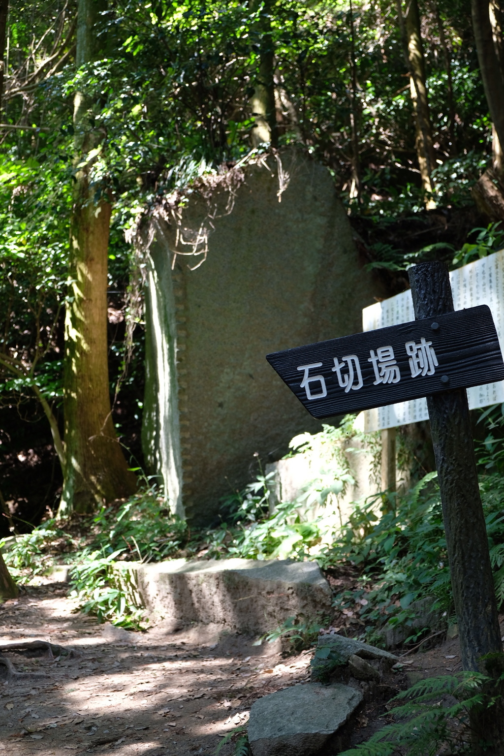 登山。