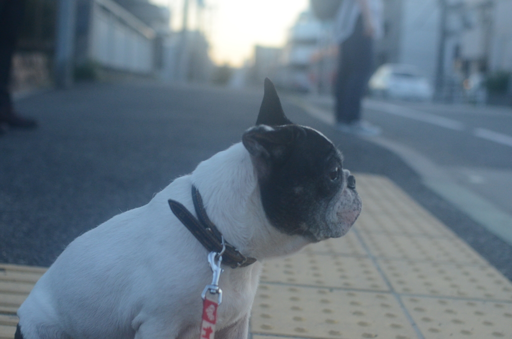 立ち止まる