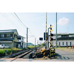 お散歩