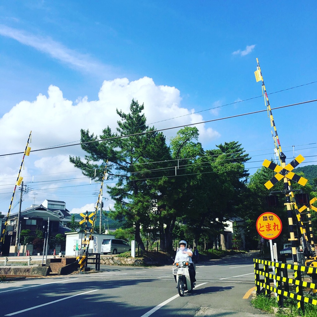 お散歩