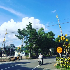 お散歩
