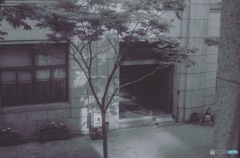 階下