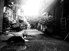 路地裏