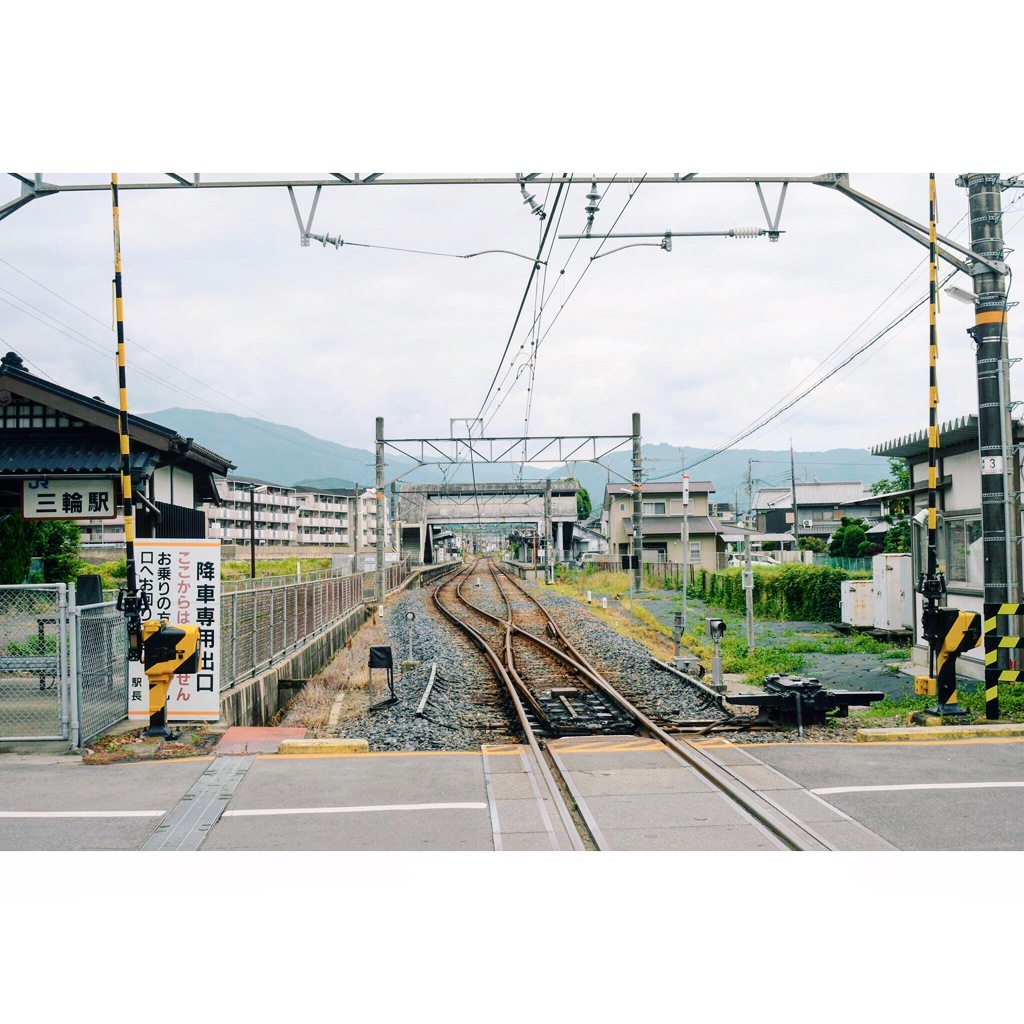お散歩