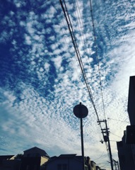 帰り途