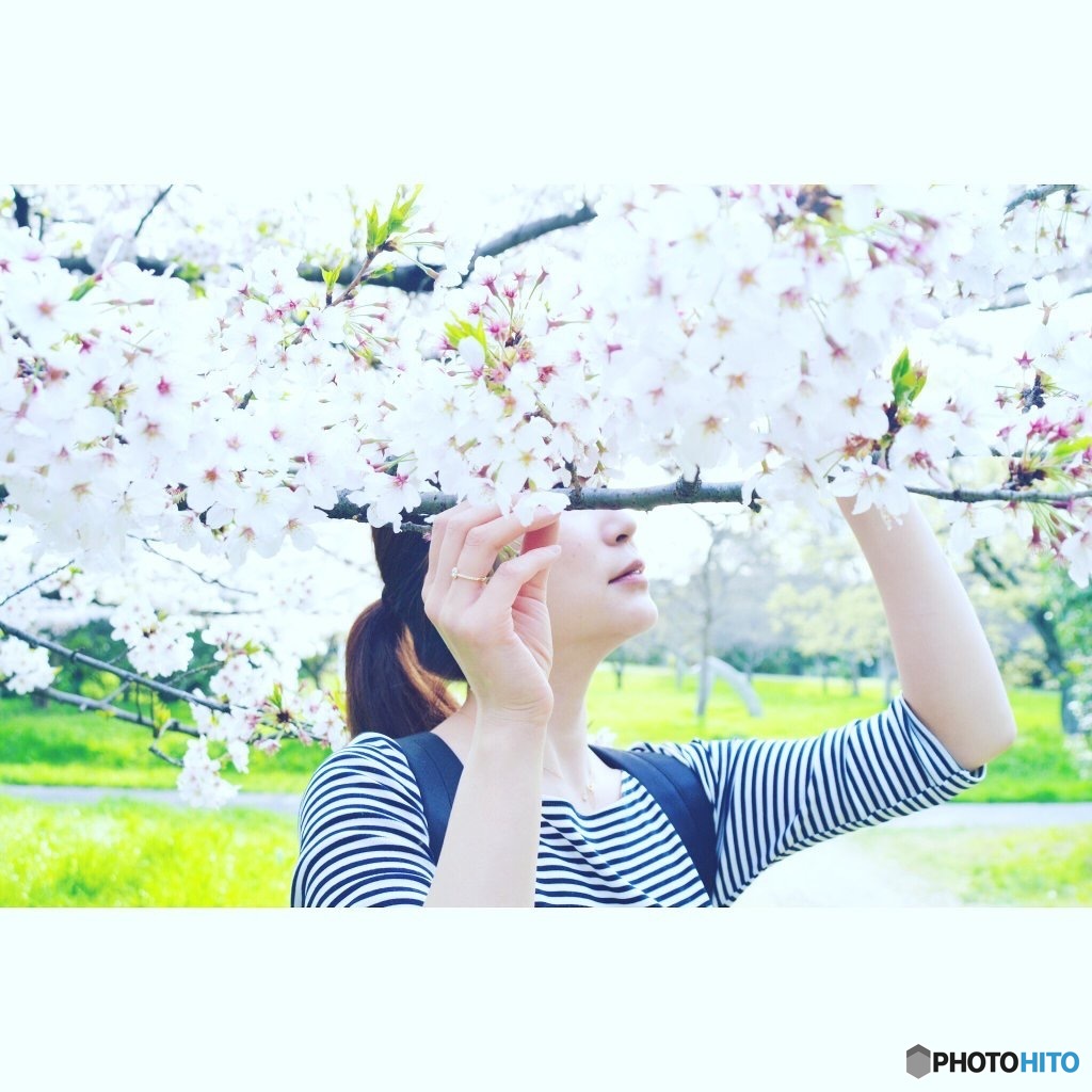ねがい