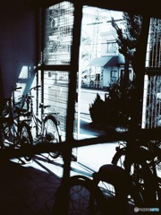駐輪場にて