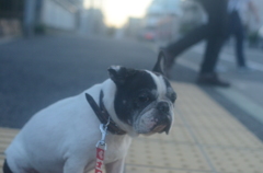 まだかな