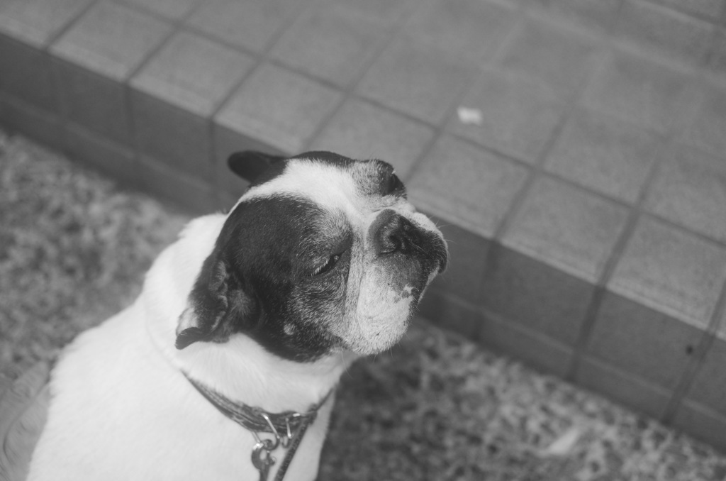 恍惚