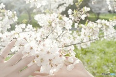 ふれる