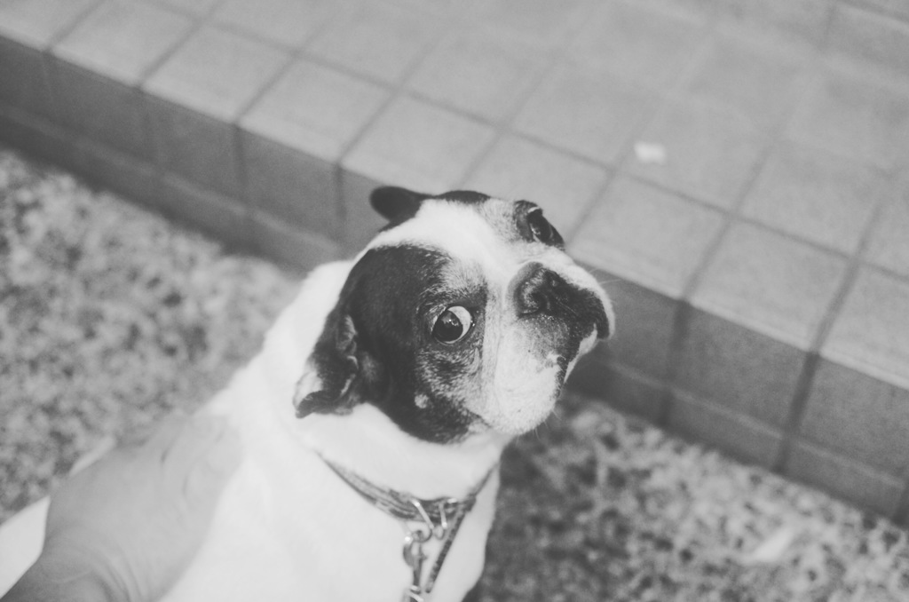 アイコンタクト
