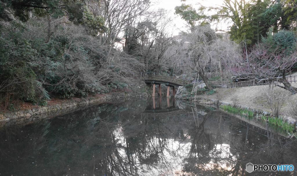 お堀の池