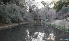 お堀の池