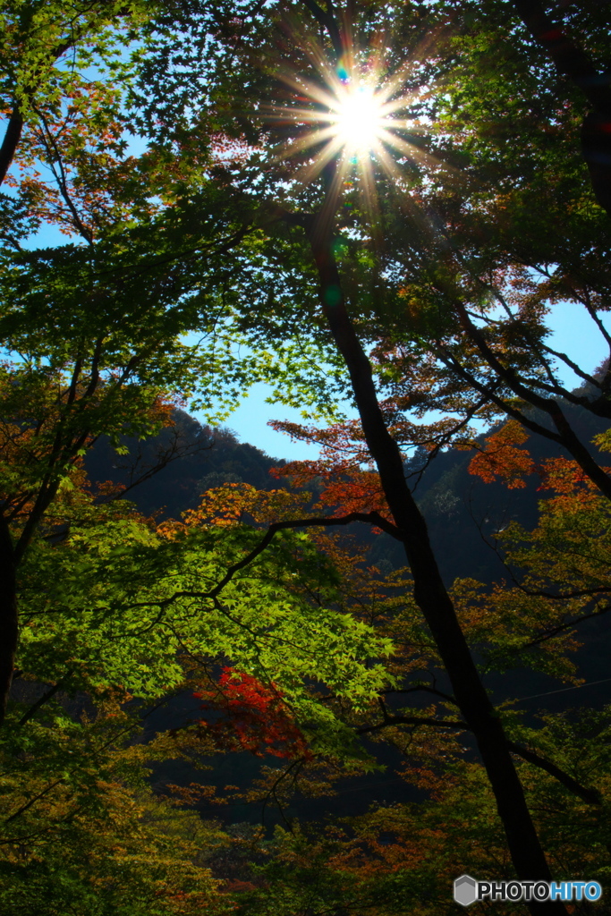 ほんのり、紅