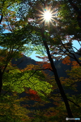 ほんのり、紅