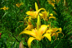 P1040430