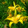 P1040430