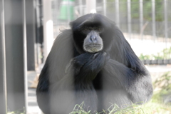 目があったよ