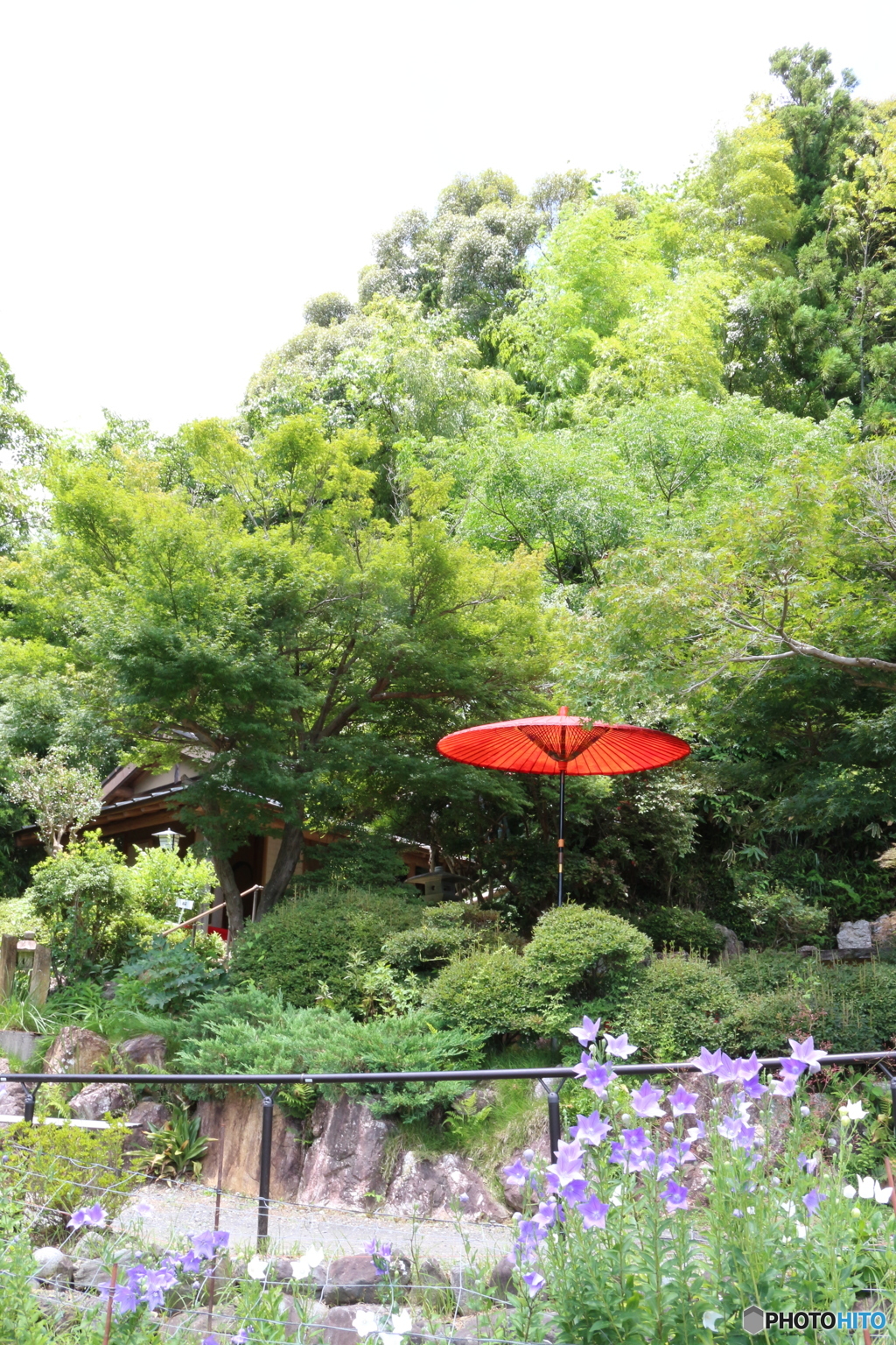 ききょう寺香勝寺