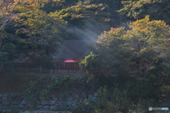 煙るお茶屋