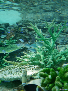 水族館