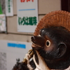 いらっしゃい