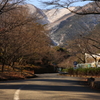 道