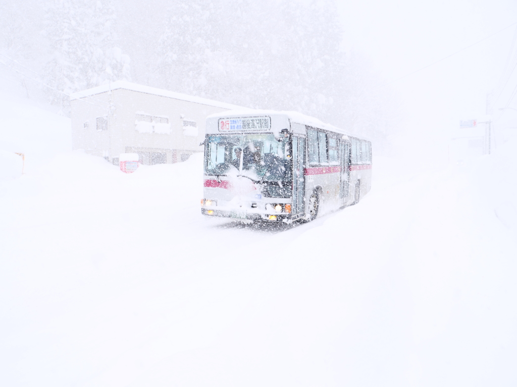 バスが来た