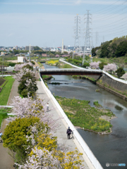 春めく湘南郊外