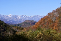 紅葉と白馬山脈