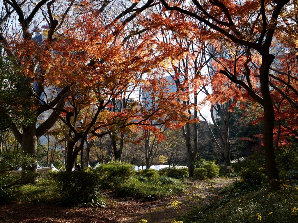 初冬の日比谷公園