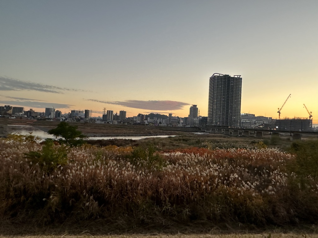 聖蹟桜ヶ丘夕景