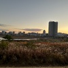 聖蹟桜ヶ丘夕景