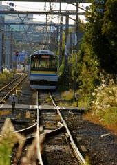 秋の風景のなかの電車