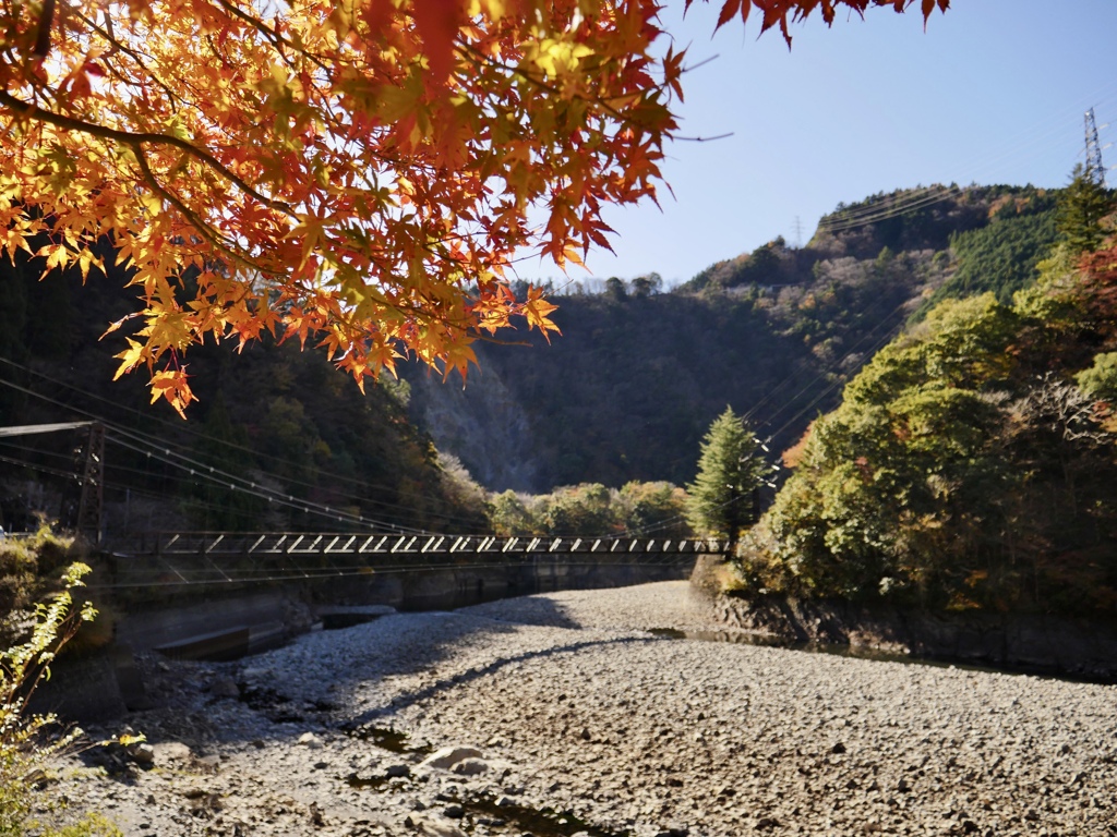 鉄橋と紅葉