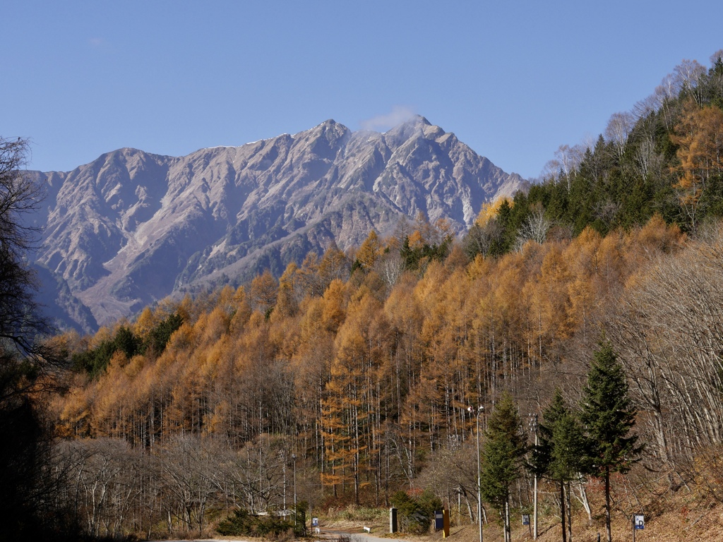 紅葉と白馬の山々