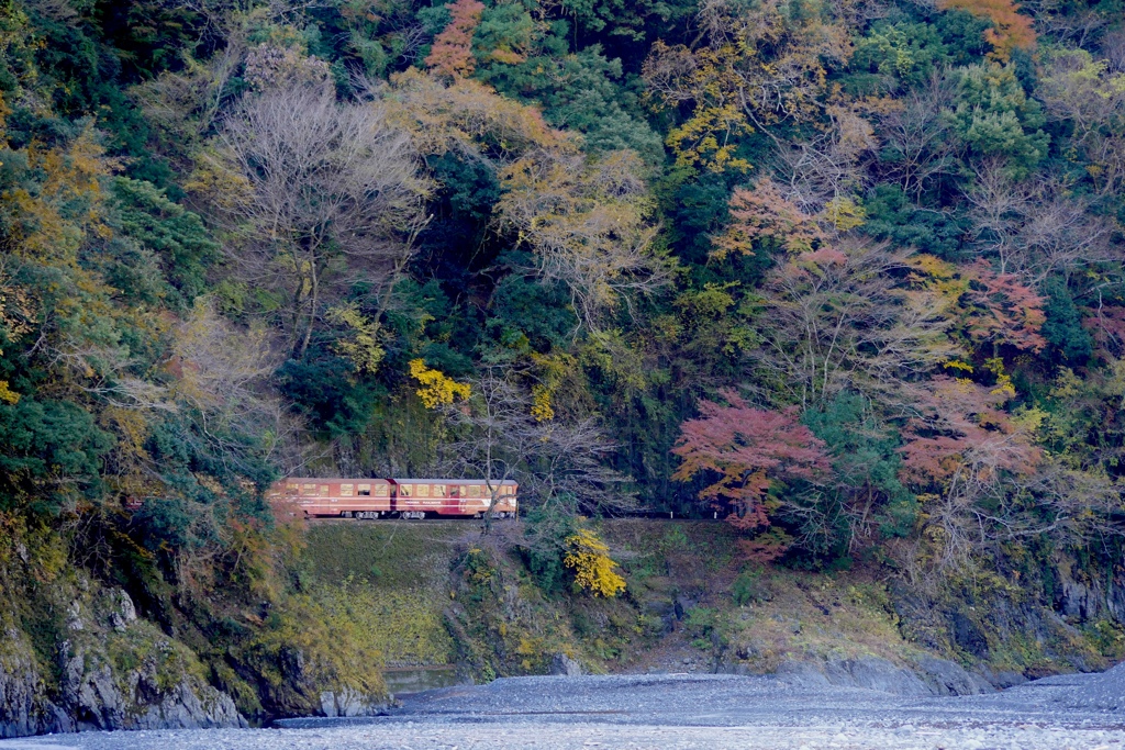 紅葉の美しい岸辺走る列車