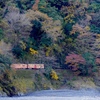 紅葉の美しい岸辺走る列車