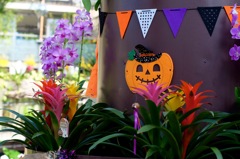 ハロウィンを探せ！1