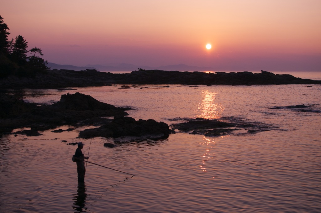 夕暮れ蛸漁